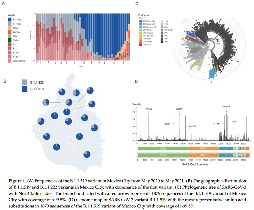 Frecuencia de la variante B.1.1.519 en Ciudad de México