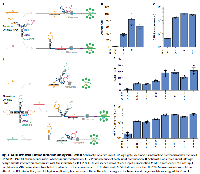 Multi-arm RNA junction molecular oR logic in E. coli. a